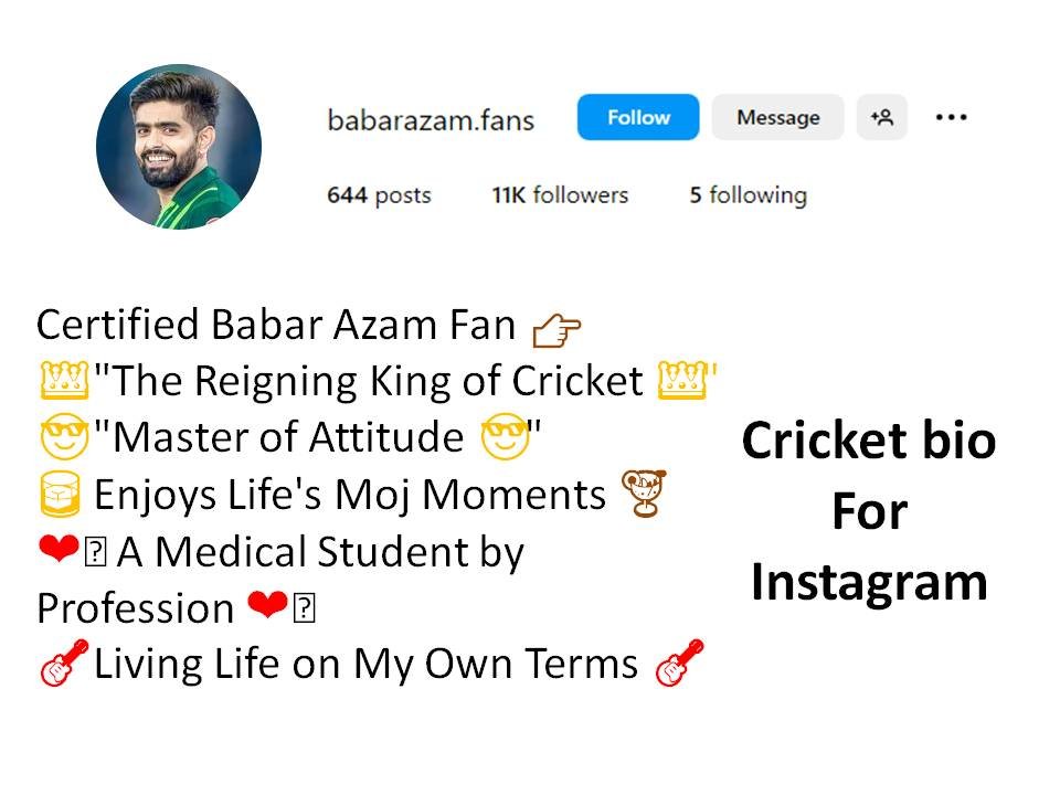Instagram Bio For Babar Azam Fans